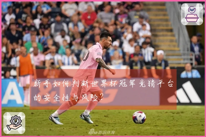 新手如何判断世界杯冠军竞猜平台的安全性与风险？